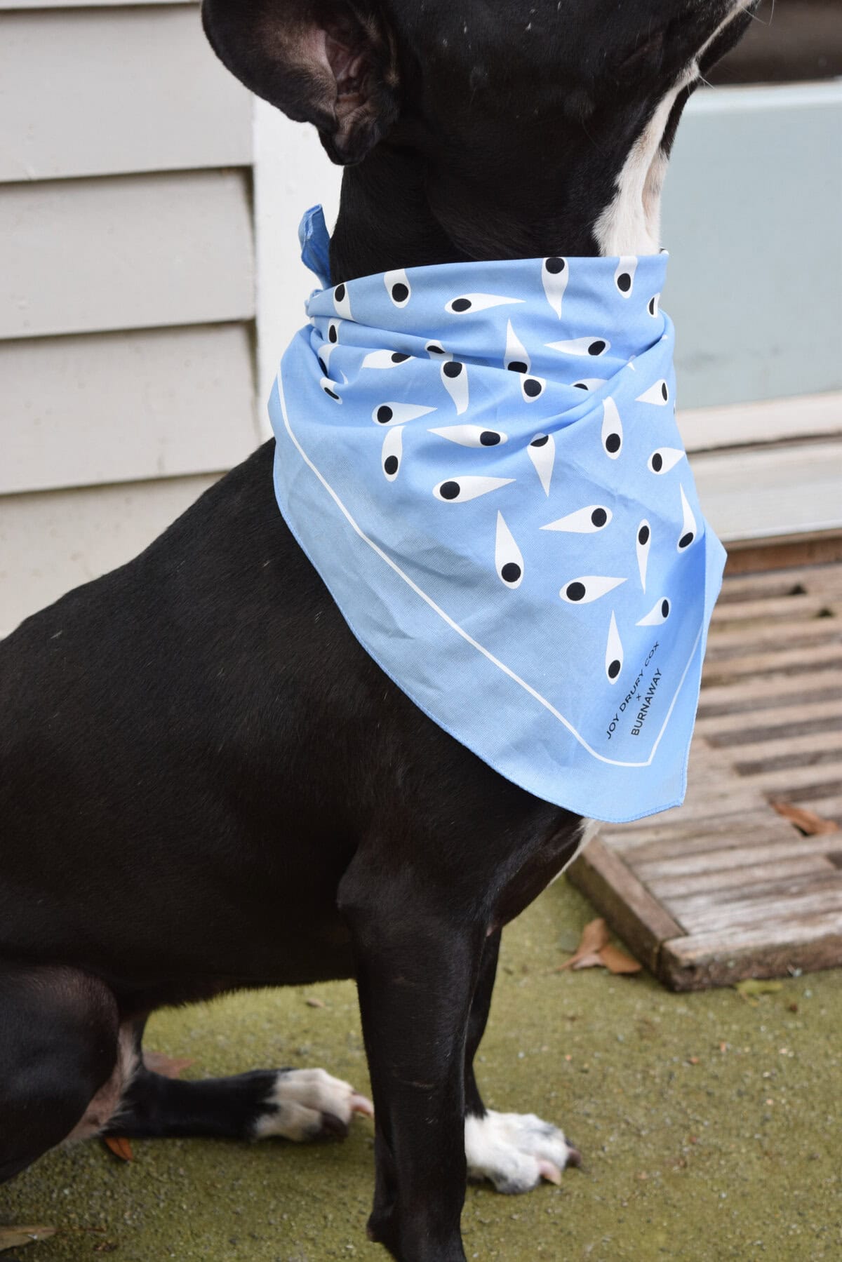 'Watching, Looking, Seeing' Bandana by Joy Drury Cox